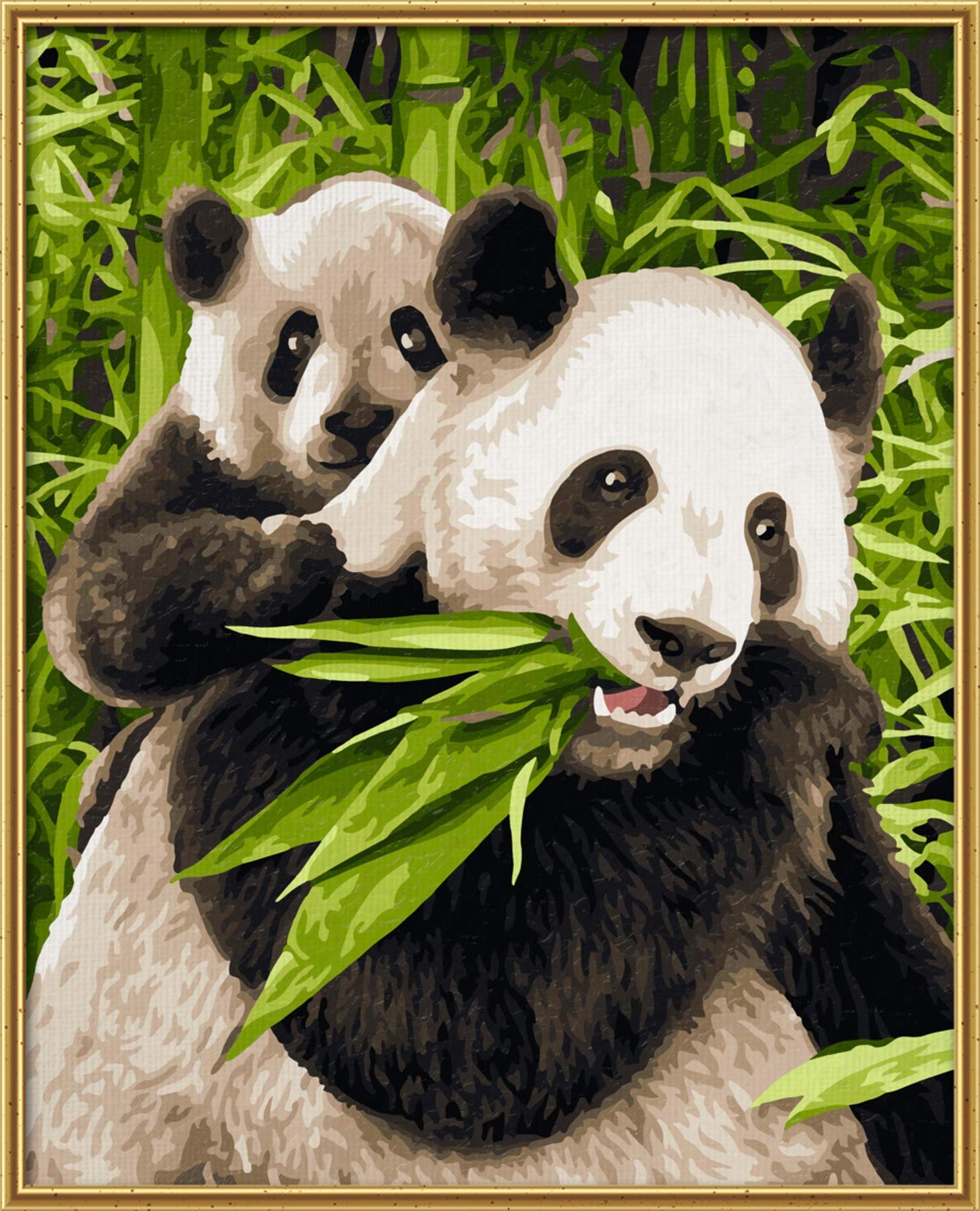 Schipper 609240712 Panda Bears Paint By Numbers Board