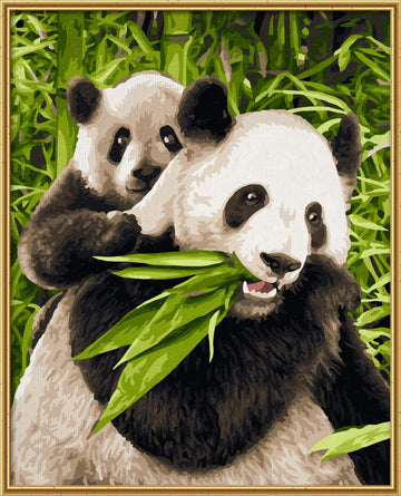 Schipper 609240712 Panda Bears Paint By Numbers Board