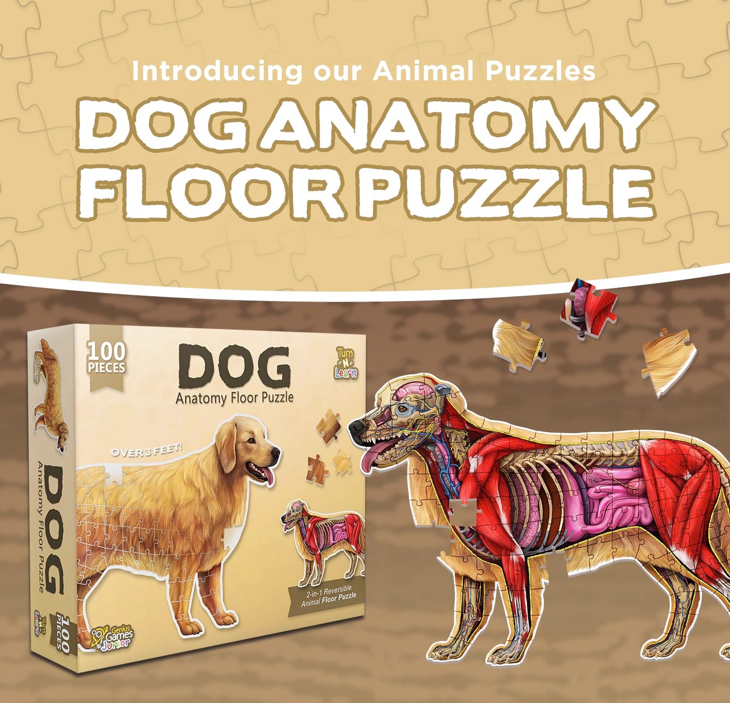 Dog Animal Anatomy Floor Puzzle | 100-Piece Double-Sided Jigsaw Puzzle | Large Floor Puzzle for Kids Ages 4-8, 3-5, 8-10 | Fun and Educational STEM