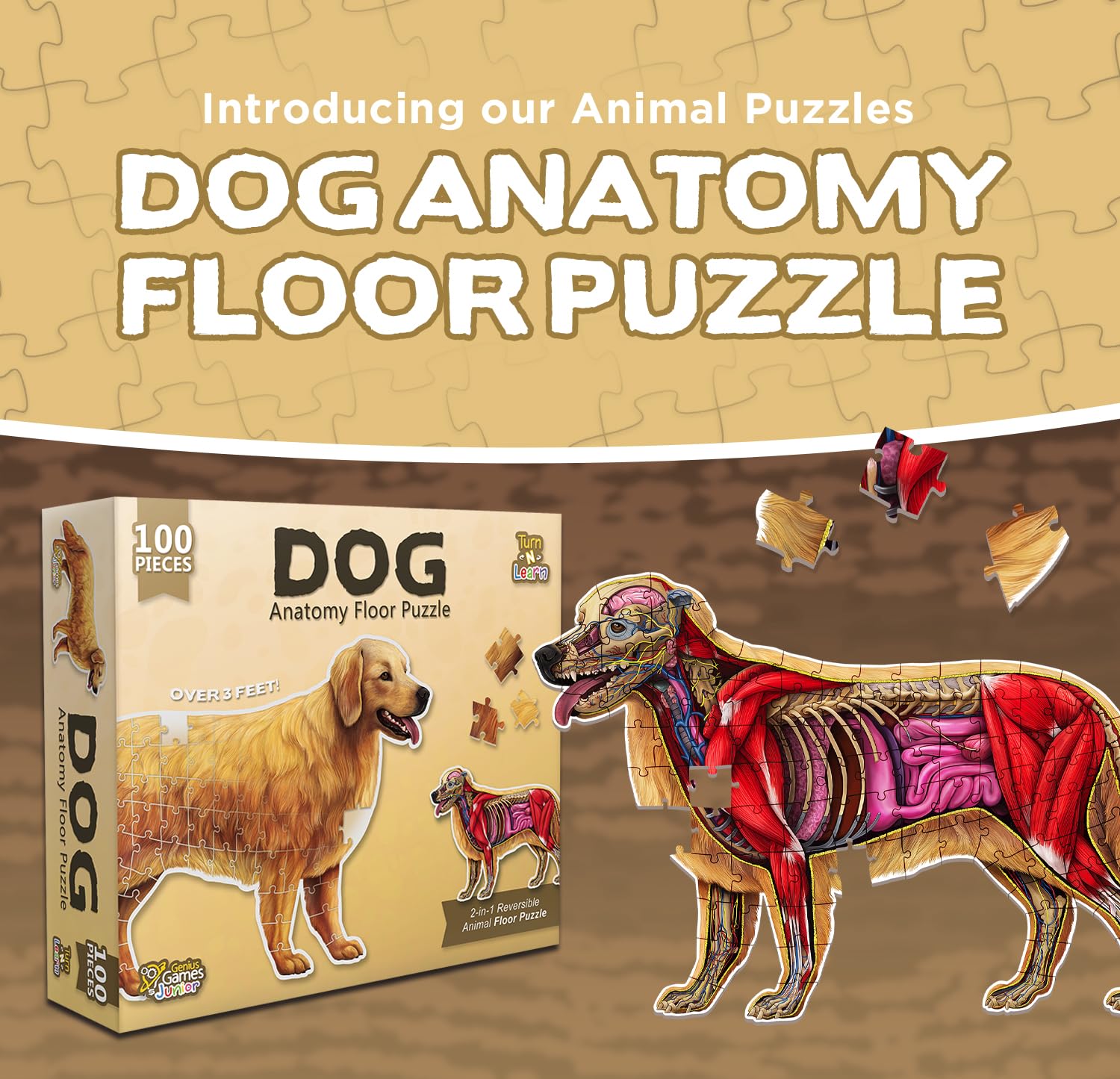 Dog Animal Anatomy Floor Puzzle | 100-Piece Double-Sided Jigsaw Puzzle | Large Floor Puzzle for Kids Ages 4-8, 3-5, 8-10 | Fun and Educational STEM