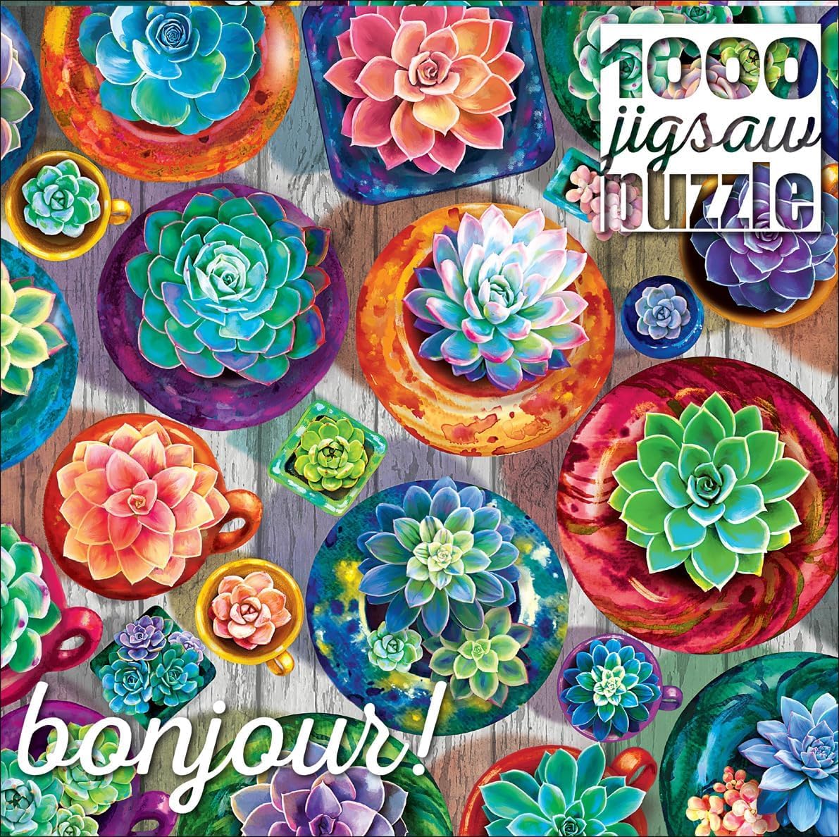 Buffalo Games - Succulent Selection - 1000 Piece Jigsaw Puzzle for Adults