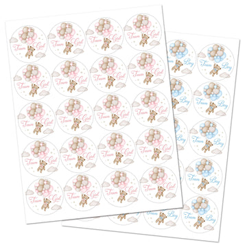 Boho Teddy Bear Balloons Team Girl, Team Boy Gender Reveal Stickers - 40 Labels (20 of Each Design)
