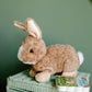 The Petting Zoo Rabbit Stuffed Animal Plushie, Gifts for Kids, Wild Onez Wildlife Animals, Brown Bunny Plush Toy 12 inches