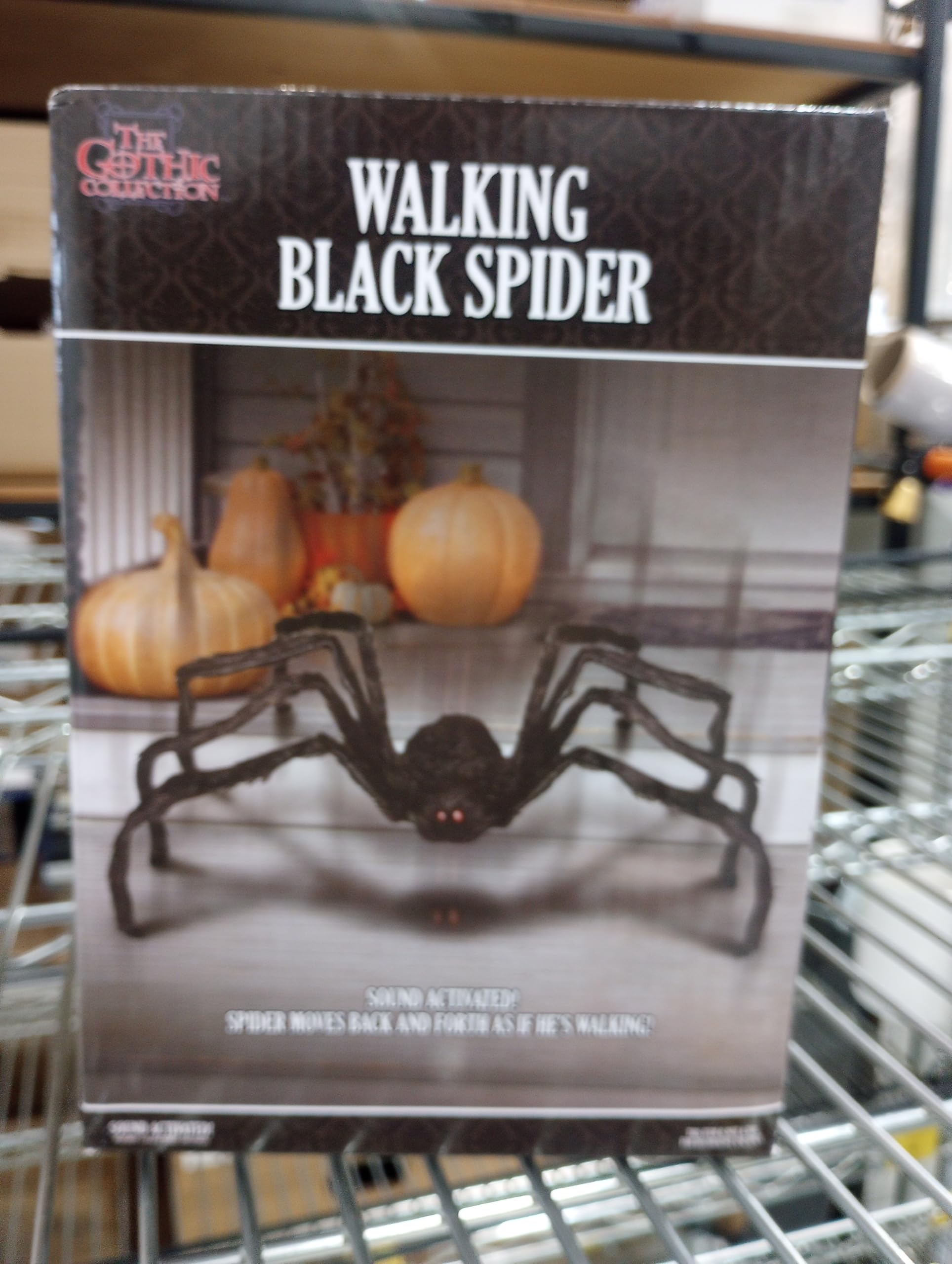 Sunstar Industries Floating Spider