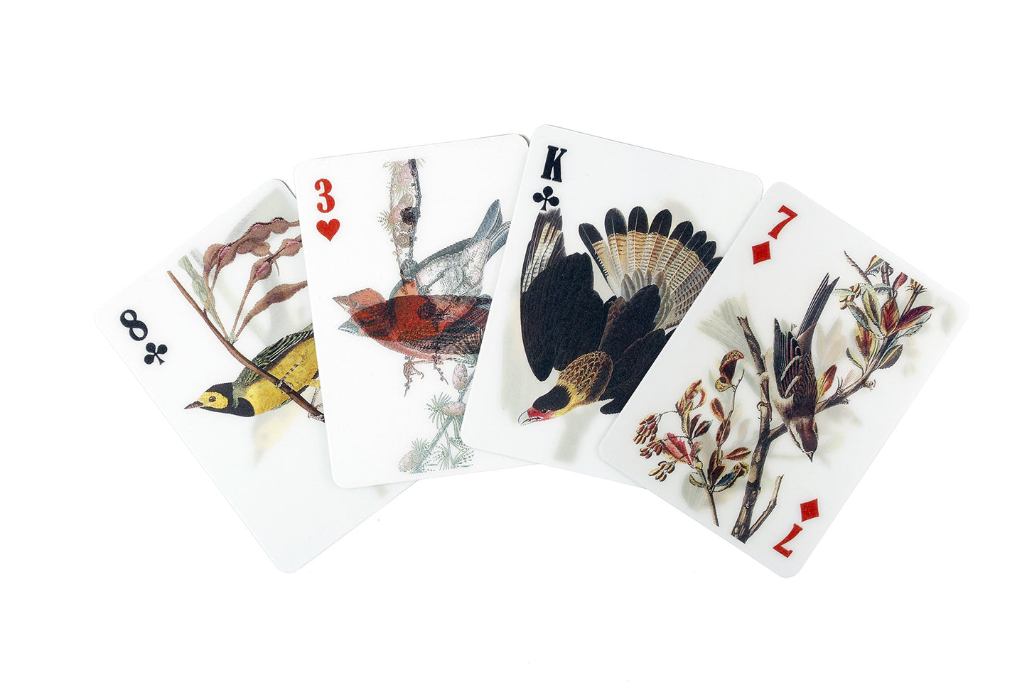 Kikkerland 3D Lenticular Bird Pokersize Deck 54pc Standard Index Waterproof Novelty Playing Cards