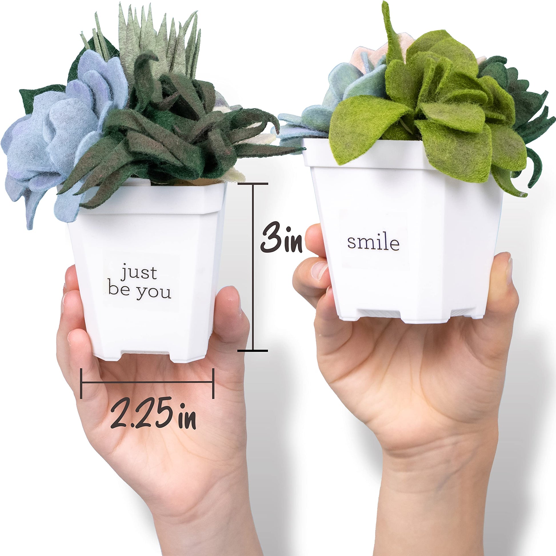 Hapinest DIY Potted Felt Succulents Craft Kit for Adults Women Teens and Seniors, Arts & Crafts for Ages 6 Years and Up