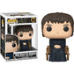 King Bran The Broken: Fun ko P o p ! Vinyl Figurine Bundle with 1 Compatible 'ToysDiva' Graphic Protector (083-45429 - B)