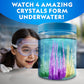 National Geographic Crystal Growing Kit with 5 Unique Activities
