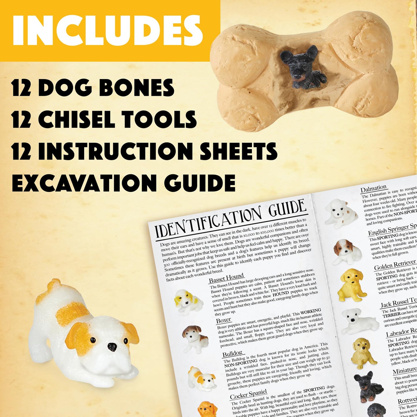 MindWare Dig it Up! Puppies Excavation Kit - Educational Toys for Kids 4 and Up - Dig Kit with 12 Bones, 12 Puppy Figurines, 12 Chisels - Ideal
