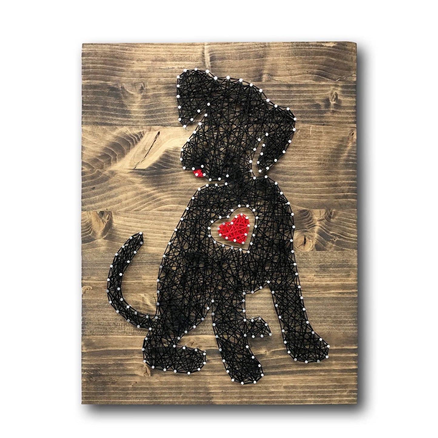 String of the Art (16" x 12" Puppy String Art Kit, American Made Crafting Supplies, Pine Wood, Embroidery Floss, Original Art, DIY Craft Kit