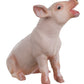 Safari Ltd. Sitting Piglet Figurine - Lifelike 1.75" Model Figure - Educational Toy for Boys, Girls, and Kids Ages 3+