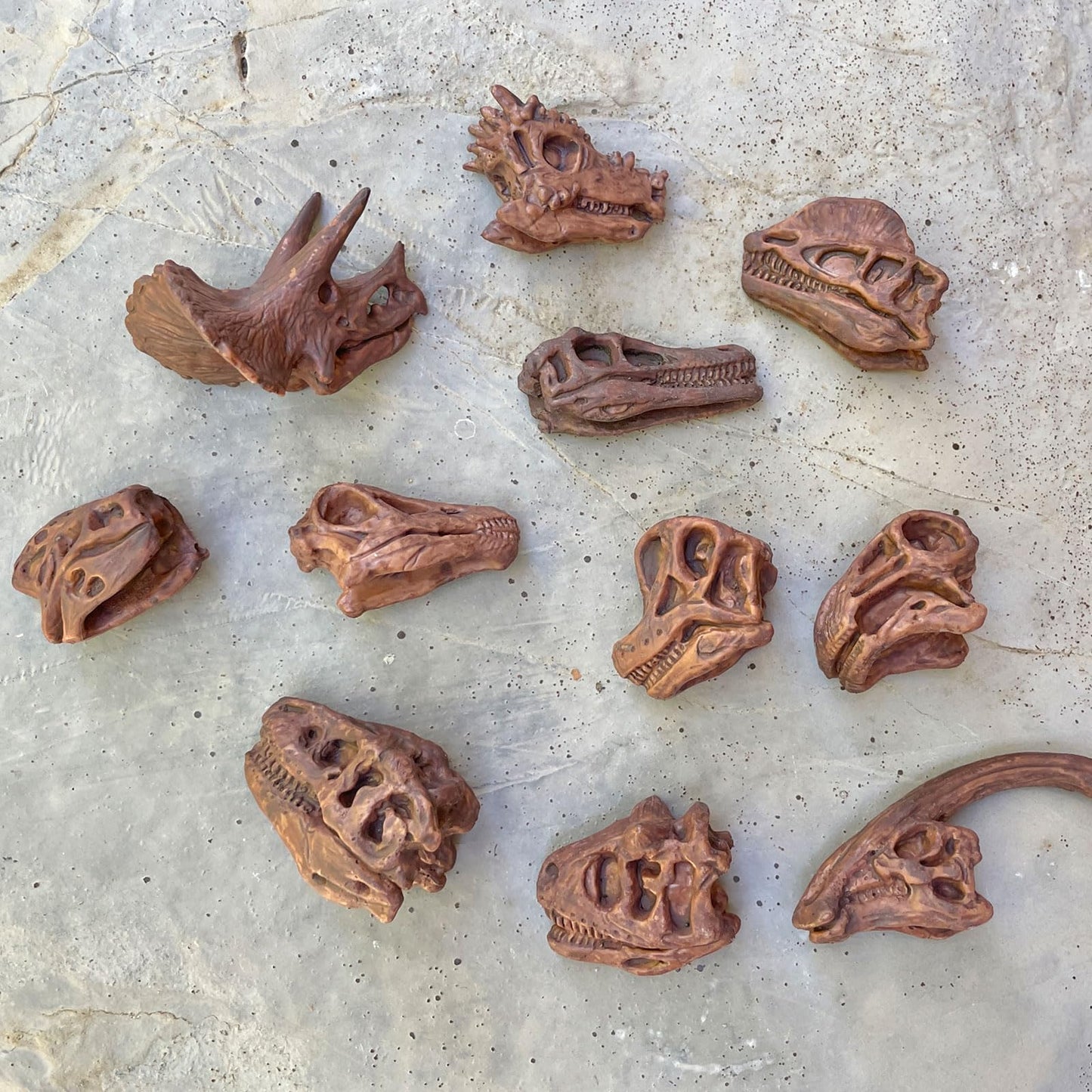 Safari Ltd. Dino Skulls Bulk Bag - Educational Set of Dinosaur Toy Skulls - 48 Piece Set for Boys, Girls & Kids Age 3+