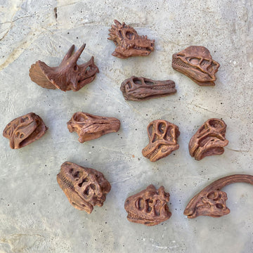 Safari Ltd. Dino Skulls Bulk Bag - Educational Set of Dinosaur Toy Skulls - 48 Piece Set for Boys, Girls & Kids Age 3+