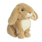 Aurora® Responsibly Made Eco Nation™ Lop-Eared Rabbit Tan Stuffed Animal - Ideal for Playtime Adventures - Perfect for Birthdays or Just Because