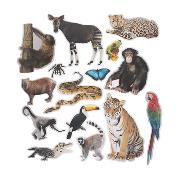 Fun Express Jumbo Realistic Rainforest Cutouts - VBS 2026 Vacation Bible School Supplies/Decor - Educational and Learning Activities for Kids - 15