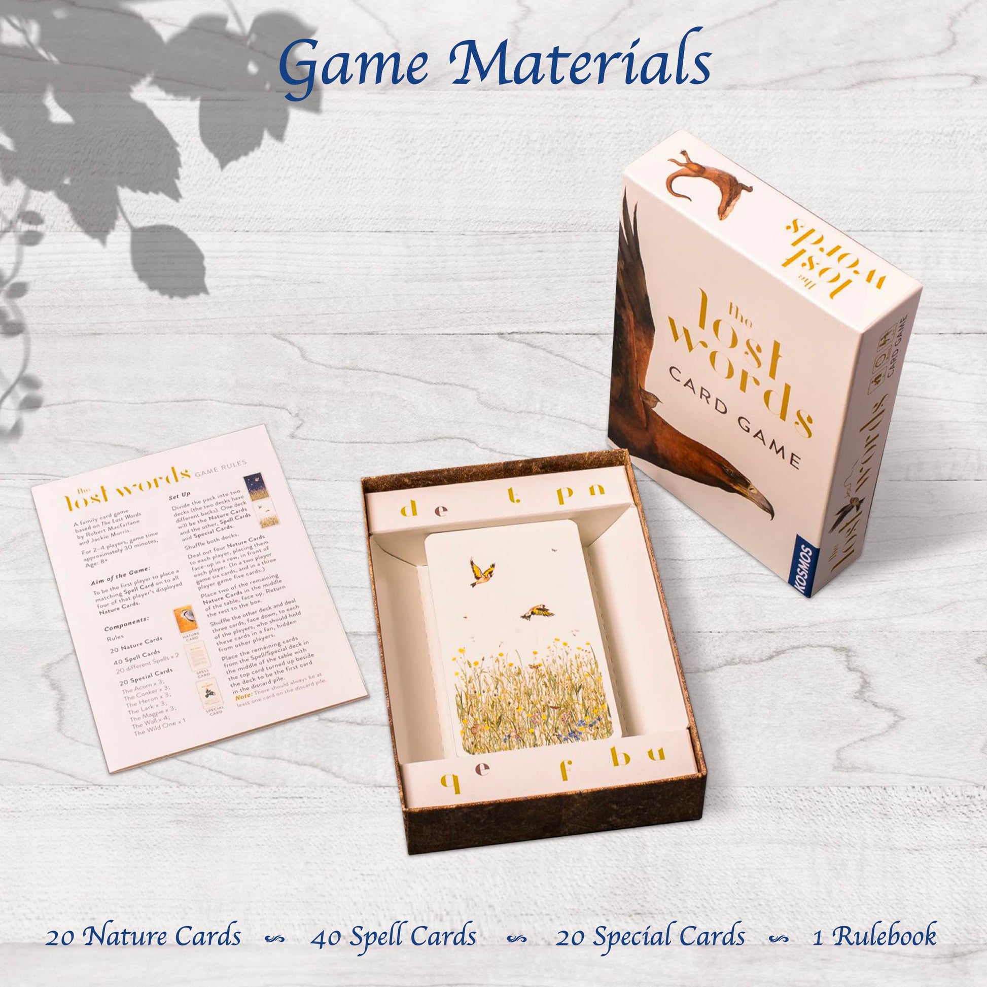 Thames & Kosmos The Lost Words Card Game