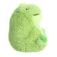 Aurora Rolly Pet 5" Riberto Frog Playful Stuffed Animal