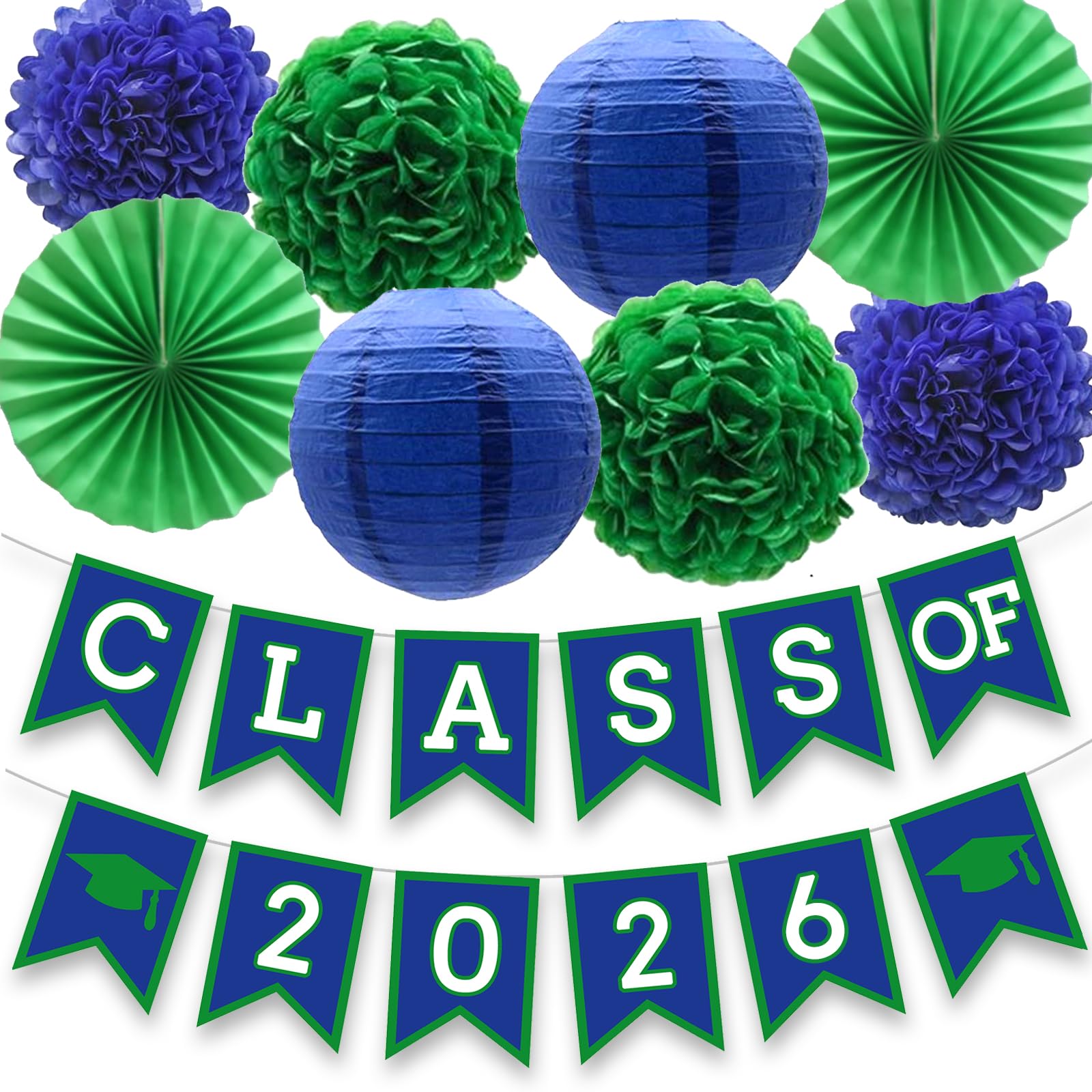 DOMOO OF DREAMS Blue Green Graduation Party Decoration Class Banner Hanging Pom Poms Flowers High School College Grad Supplies