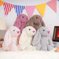 shiguangji Bunny Stuffed Animal Plush Toy 11.8 in, Soft Rabbit Plush for Babies and Toddlers, Cuddly Bunny Toy for Nursery Decor and Easter Gift