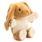 Guess How Much I Love You 3 Piece Gift Set with Stuffed Animal and Activity Toys