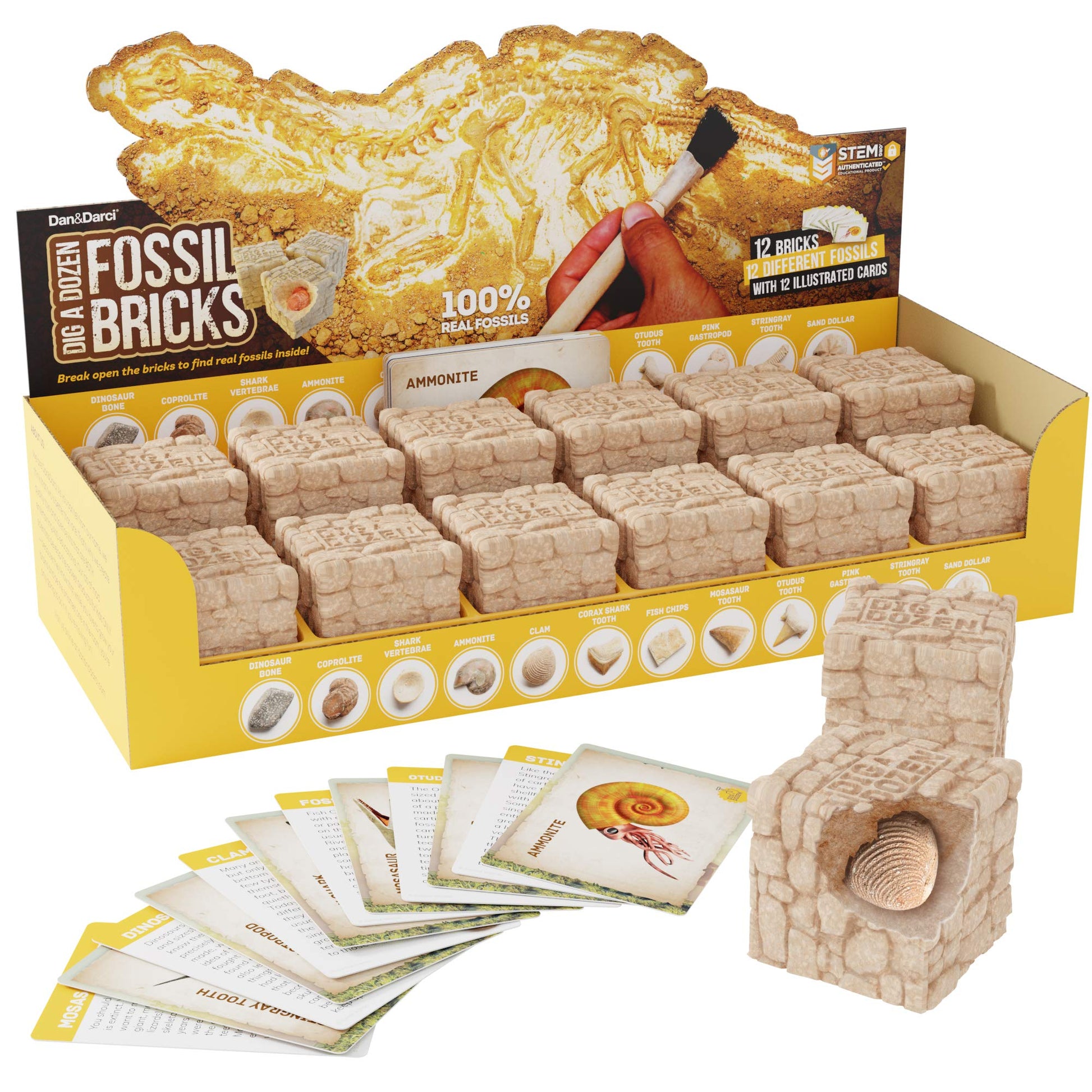 Dan&Darci Dig a Dozen Fossil Bricks - Break Open 12 Blocks and Discover 12 Unique Real Fossils - Basket Stuffers Archaeology Science STEM - Birthday