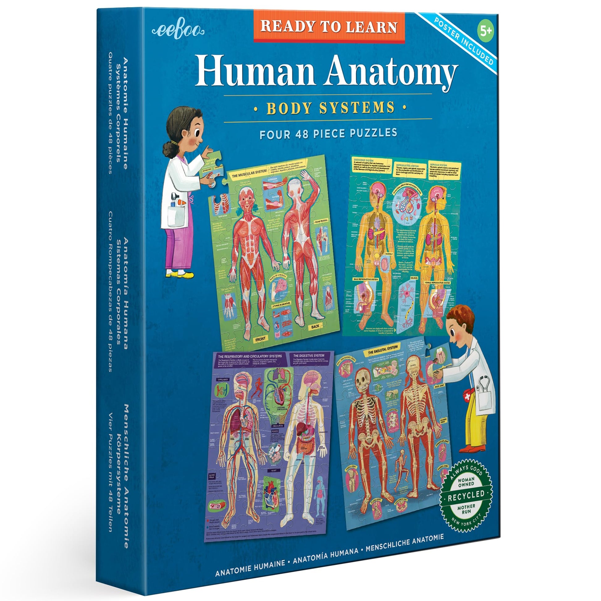 eeBoo Human Anatomy 48 Giant Piece Children's Puzzle, Four 12 PC Puzzles