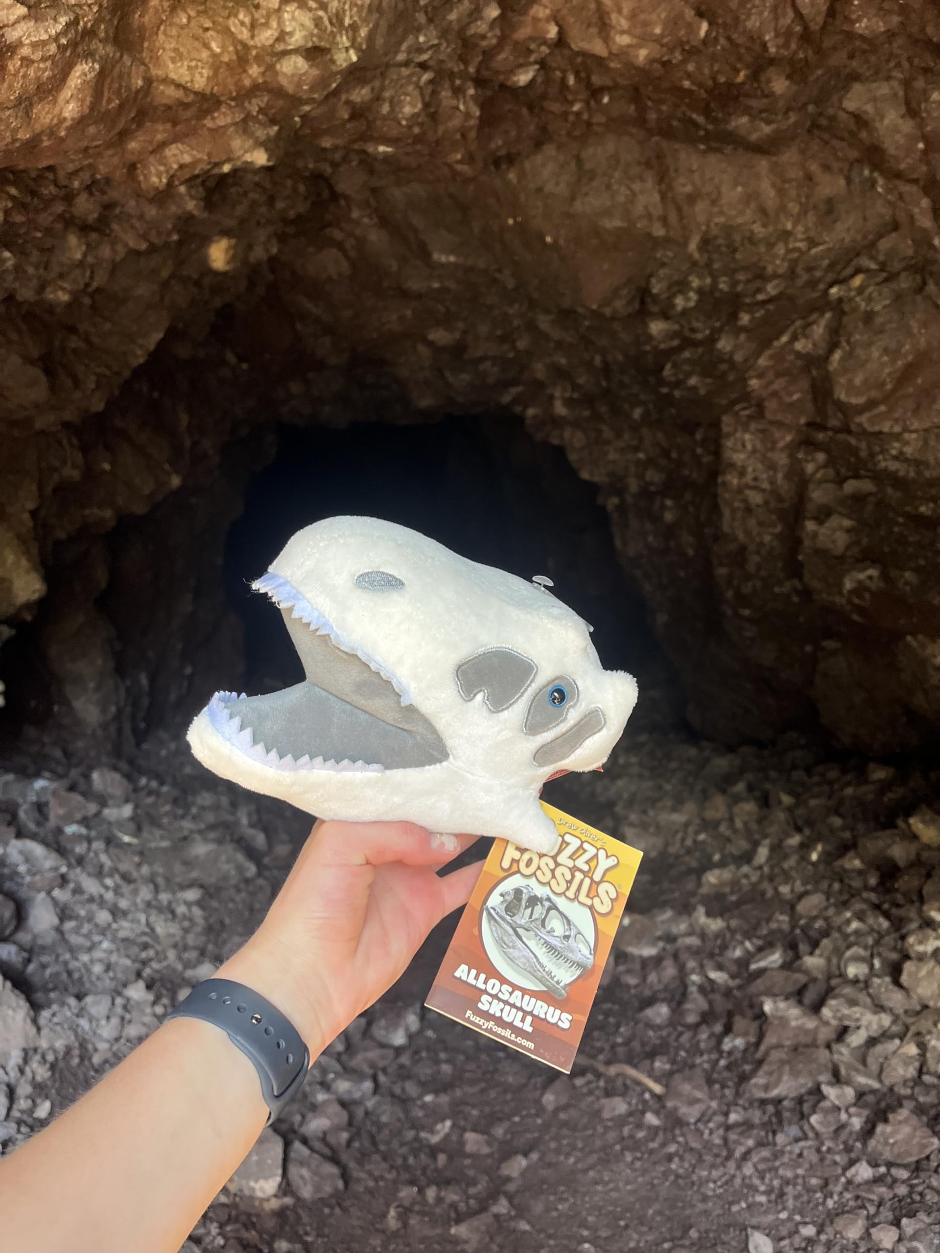 Fuzzy Fossils Allosaurus Plush, Allosaurus Dinosaur, Dinosaur Stuffed Animal, Stuffed Dinosaur Plush, Allosaurus Toy, Dinosaur Toys, Dinosaur Skull