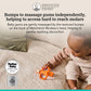 Matchstick Monkey Silicone Teether & Gel Applicator - Silicone Baby Teether, Easy-to-Grip, BPA-Free, Supports Self-Soothing & Early Brushing, 3