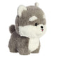 Aurora - Teddy Pets - 7" Husky, Multicolor