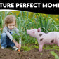 Inflatable Pig, Decorations for Birthday Party Supplies Toy, Cowboy & Cowgirl Farm Theme Gifts, Blow Up Boar Decor, Inflables Para Fiestas Pig