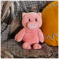 GUND Hidden Pigeon Company Piggie 13.5-Inch Plush Toy for Ages 1+