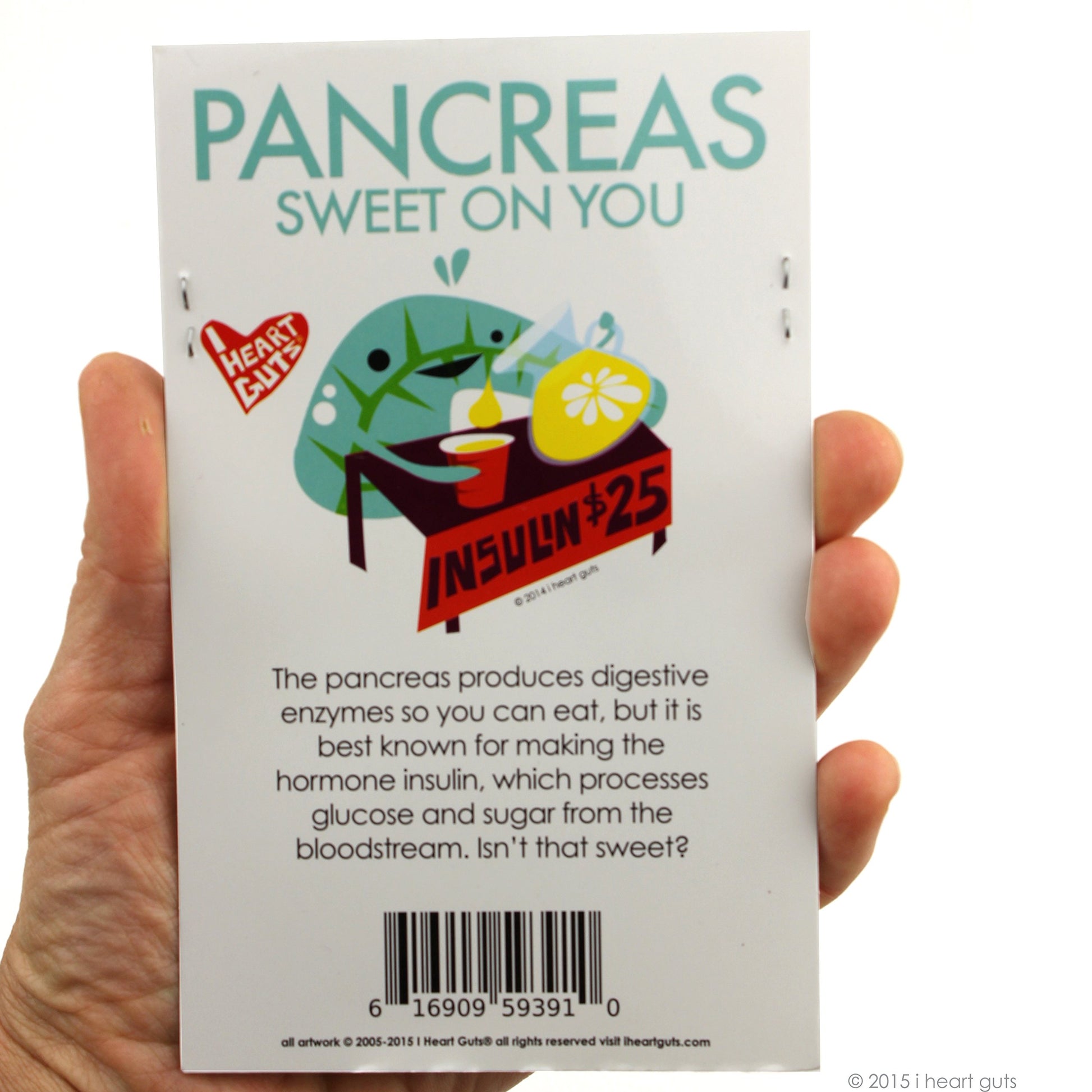 I Heart Guts Pack of Pancreas Stickers - 15 Pancreas Stickers - Cute and Educational Vinyl Stickers for Diabetics, Endocrinology Gifts, or Sweet