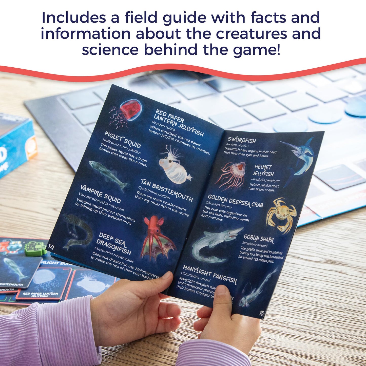 MindWare Search for a Giant Squid: The Game - Based On The Popular Book for 2 to 4 Players