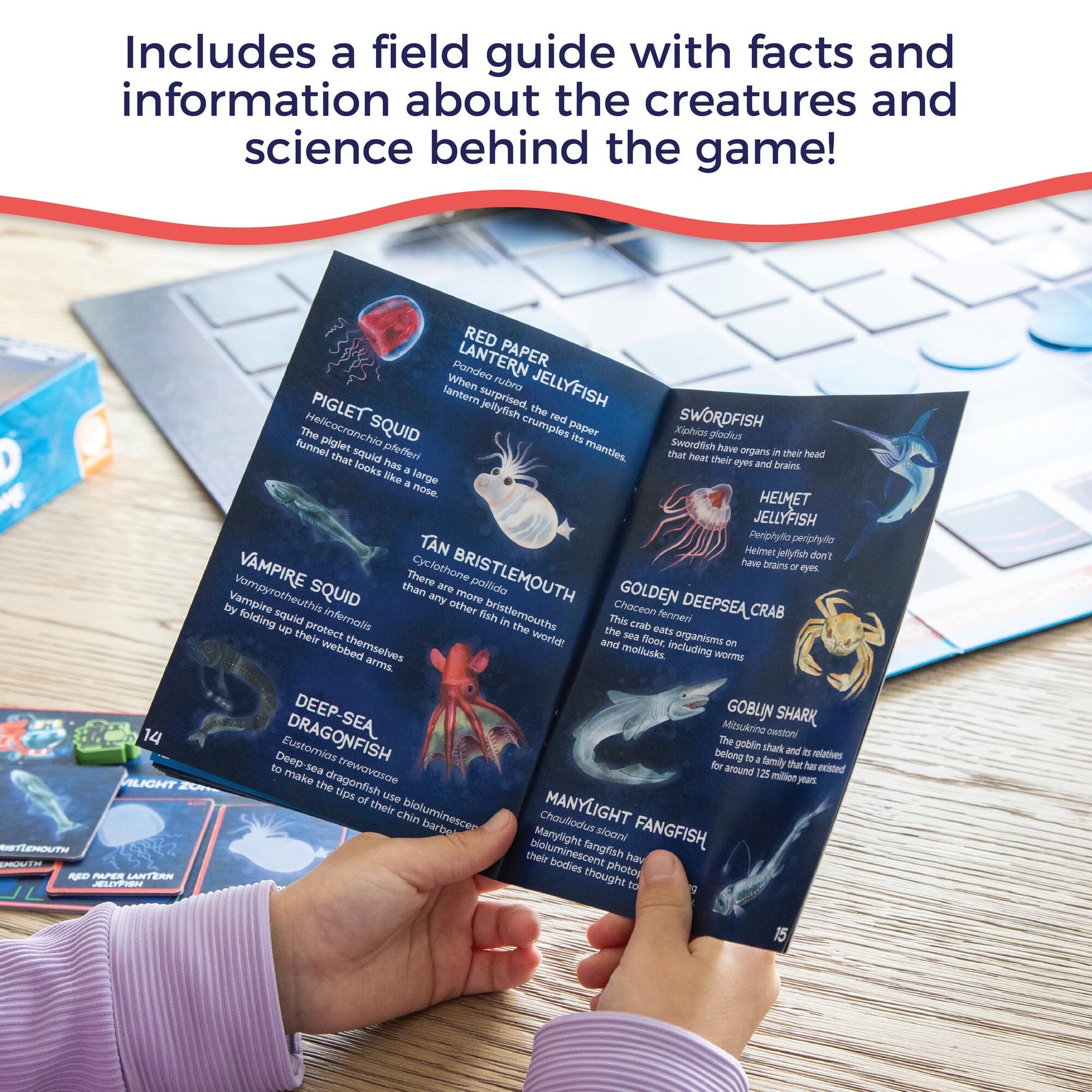 MindWare Search for a Giant Squid: The Game - Based On The Popular Book for 2 to 4 Players