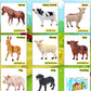 KECIABO Animal Figurines, Big Animal Toys, 8 Pcs Farm Animals Figurines Toys, Realistic Plastic Animals Playset, Educational Learning Toy Set for Kids
