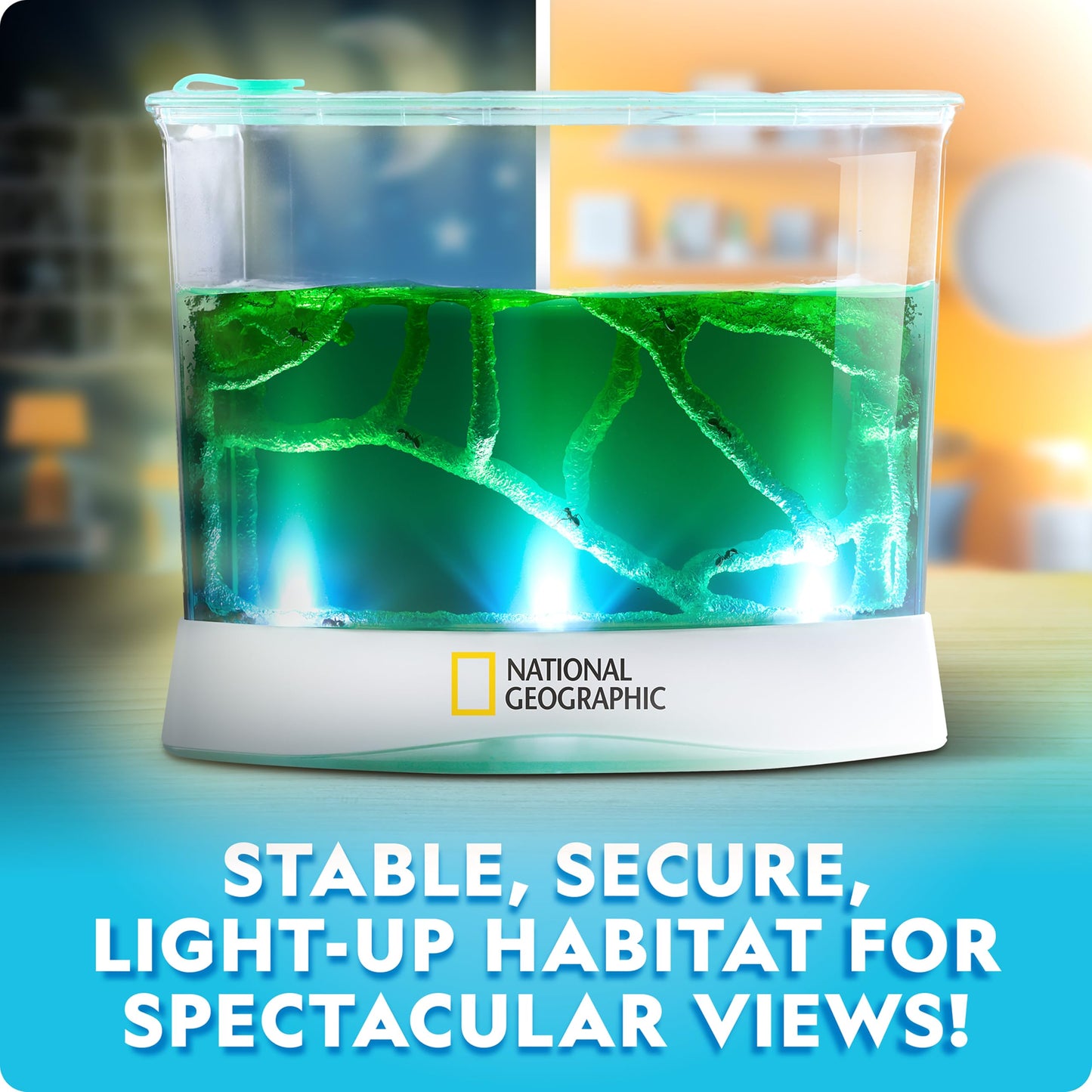 National Geographic Light-Up Ant Habitat Kit for Kids with Magnifiers