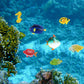 Boao 48 Pcs Small Plastic Fish Toys Assorted Mini Fish Party Favor for Kid
