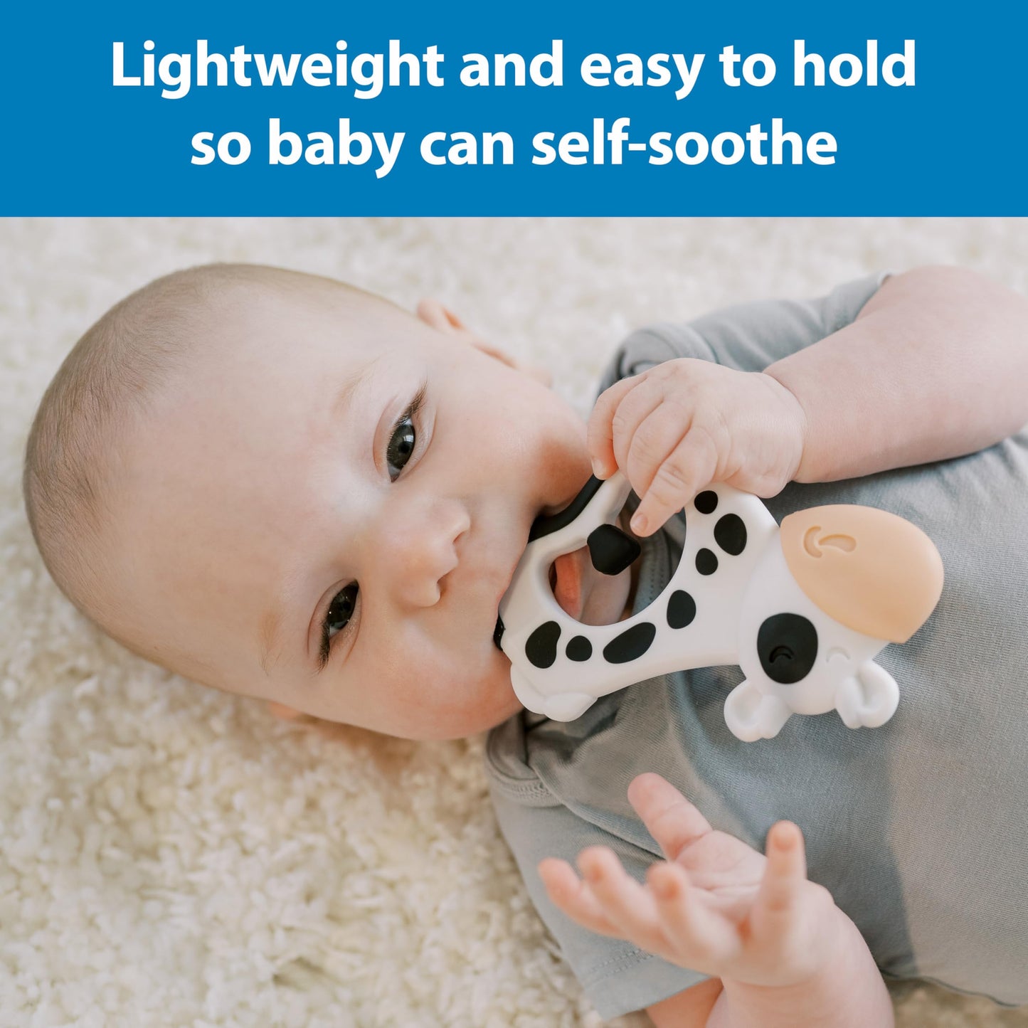 Dr. Brown's Ridgees Cow Baby Teether, Massaging Multi-Texture Teething Toy for Babies, Silicone Free, BPA-Free, 3m+