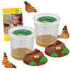 Insect Lore Two Cups of Live Caterpillars | Painted Lady Butterflies | Includes 2 Chrysalis Holding Logs | 10 Live Baby Caterpillars | Refill