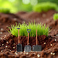 ZhangyiHot 3 Pcs Dollhouse Miniatures, 1/12 Scale Miniature Dollhouse Farm Tool Accessories, Plastic Mini Farm Tool Shovel Rake for Micro-Landscape