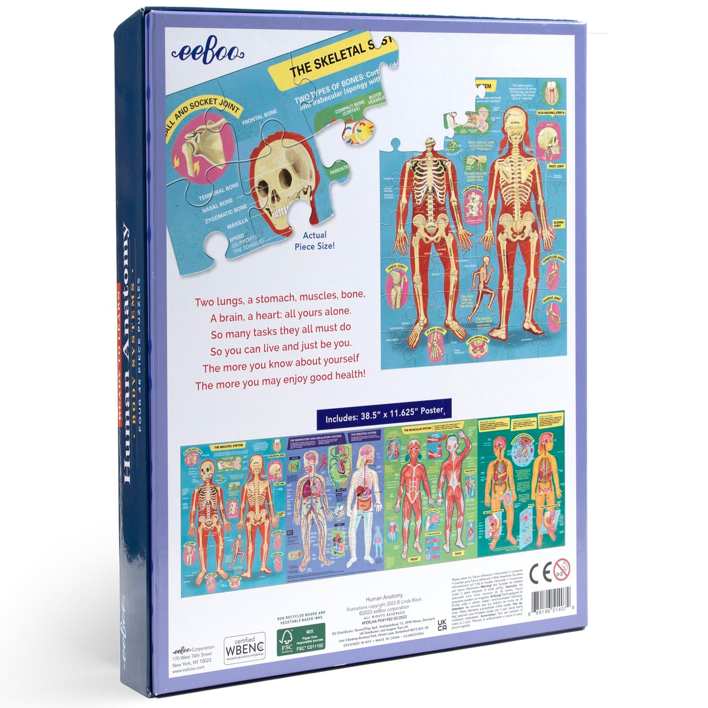eeBoo Human Anatomy 48 Giant Piece Children's Puzzle, Four 12 PC Puzzles