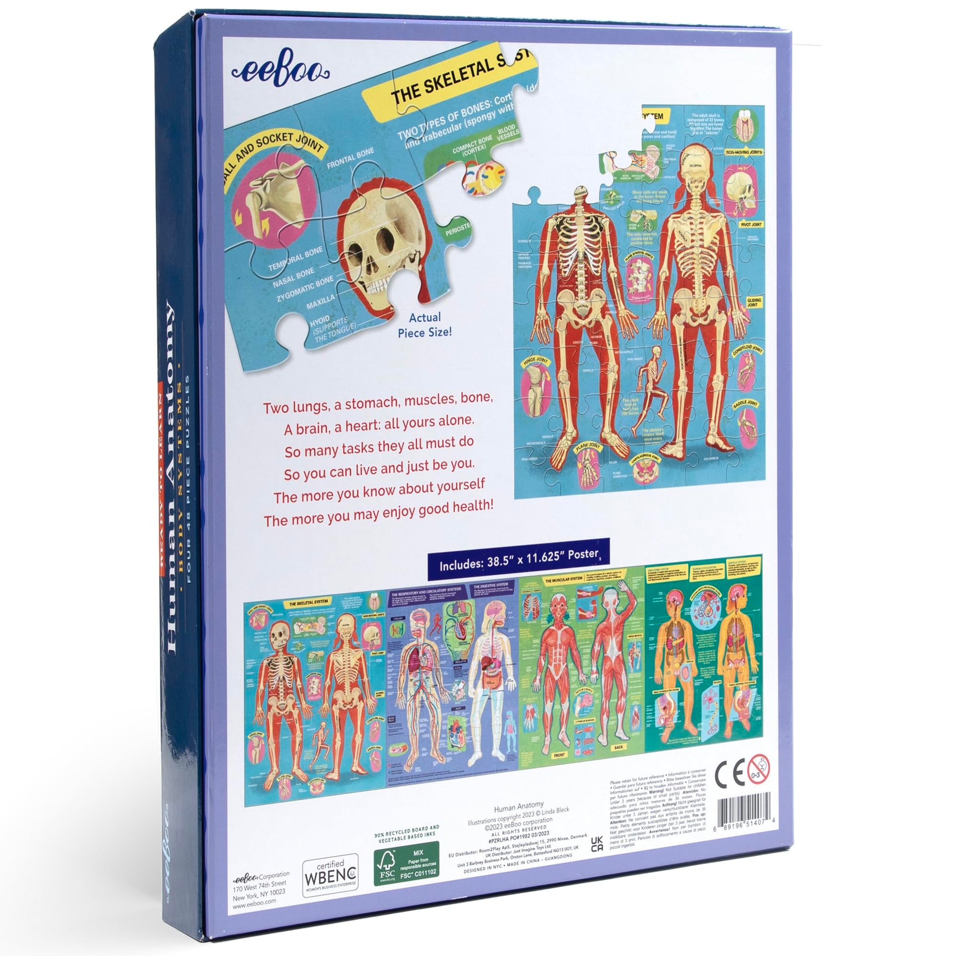 eeBoo Human Anatomy 48 Giant Piece Children's Puzzle, Four 12 PC Puzzles