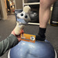 GIANT MICROBES Knee Replacement Plush, get Well Gift, Knee Replacement Gifts, Knee Injury, Chiropractor Gift, Orthopedic Surgeon Gifts, Physical