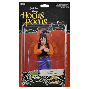 NECA Hocus Pocus: Toony Terror Mary Sanderson 6" Action Figure