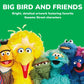 MasterPieces Sesame Street Big Bird's Block Party 1000 Piece Adult Jigsaw Puzzle - Cartoon Jigsaw 19.25"x26.75"