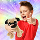 DolliBu Sitting Pug Stuffed Animal Dog Plush Toy, Kids & Adults Huggable Puppy Cuddle Gifts, Cute Stuffed Animals for Toddler & Baby First Teddy Bear