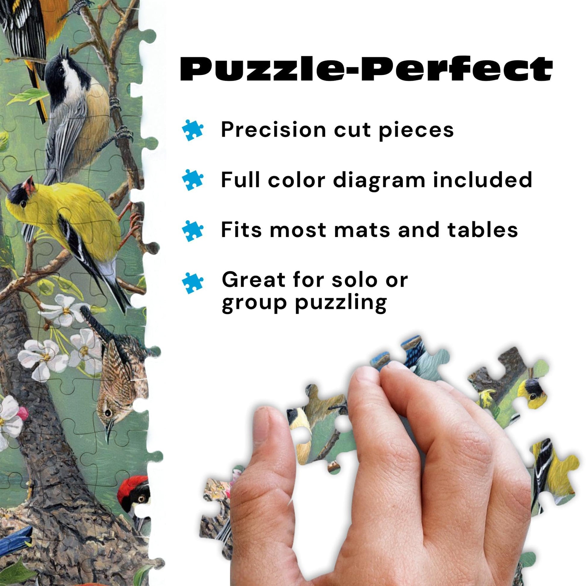 Buffalo Games Hautman Brothers Birds, 1000 Piece Jigsaw Puzzles for Adults