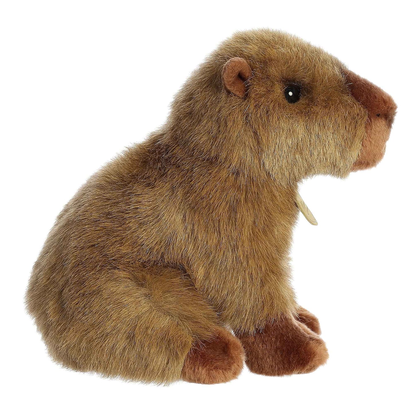 Aurora® Realistic Miyoni® Capybara Stuffed Animal - Lifelike Details Make a Cherished Companion - Perfect for Decorating Bedrooms or Classrooms