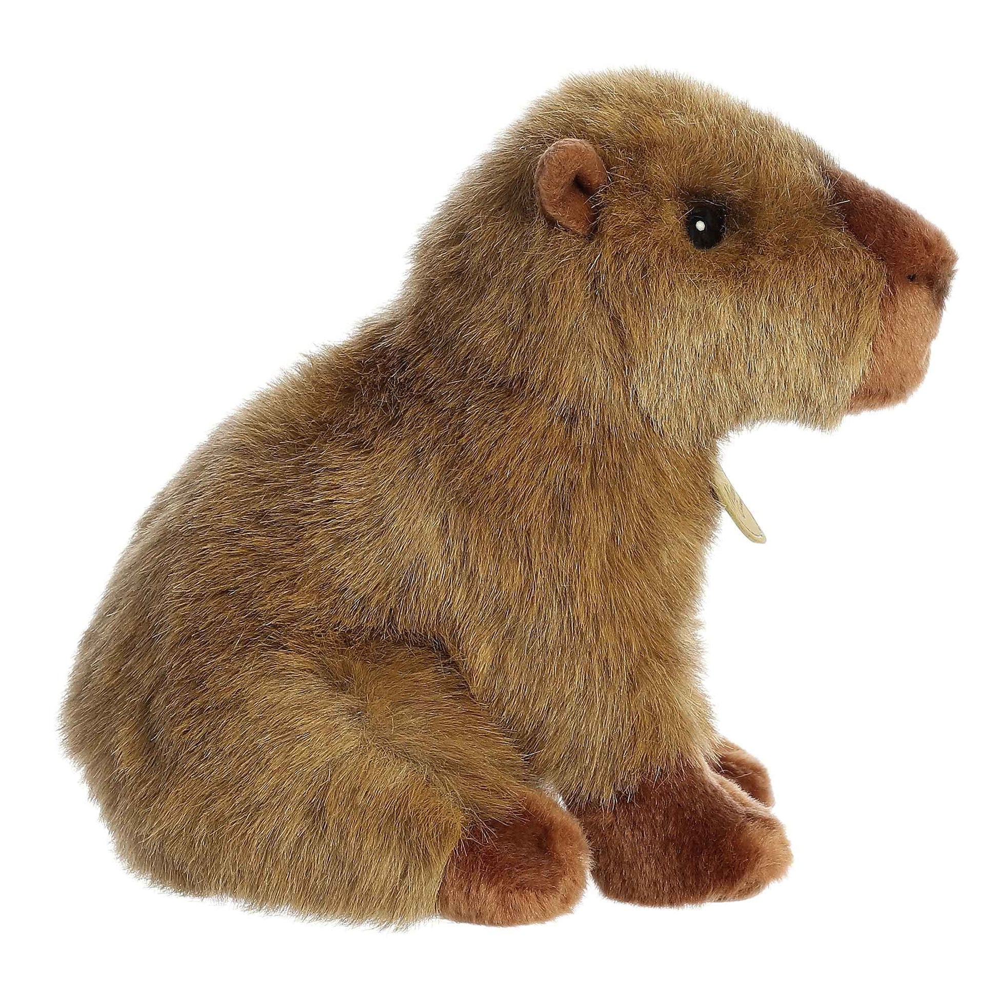 Aurora® Realistic Miyoni® Capybara Stuffed Animal - Lifelike Details Make a Cherished Companion - Perfect for Decorating Bedrooms or Classrooms