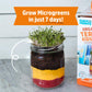 Back to the Roots Terrarium Grow Kit - Easy-to-Use DIY Set for All Ages Small